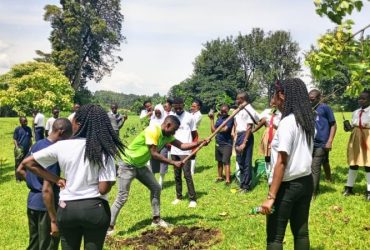 Miss Tourism Tackling Climate Change